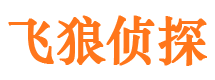 山城外遇调查取证